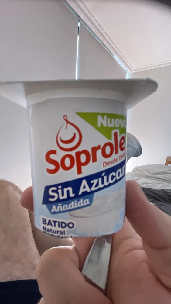 BATIDO Natural