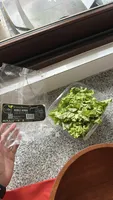 ROBLE VERDE