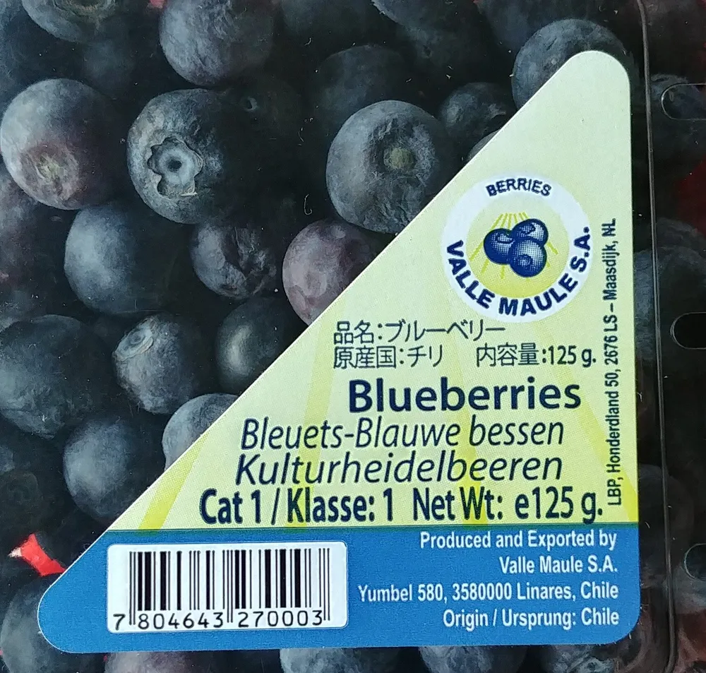 Valle Maule Blaubeeren