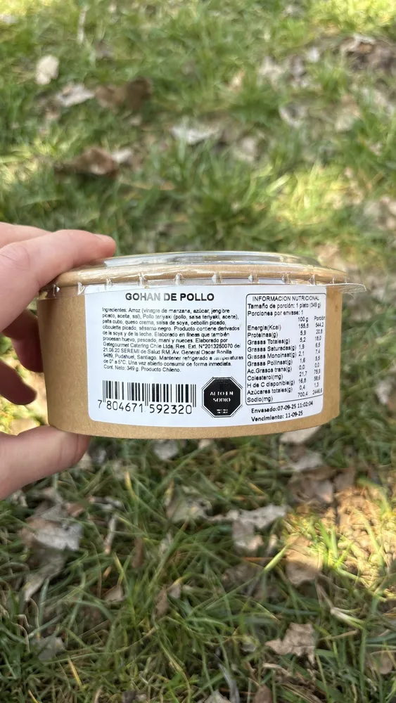 GOHAN DE POLLO