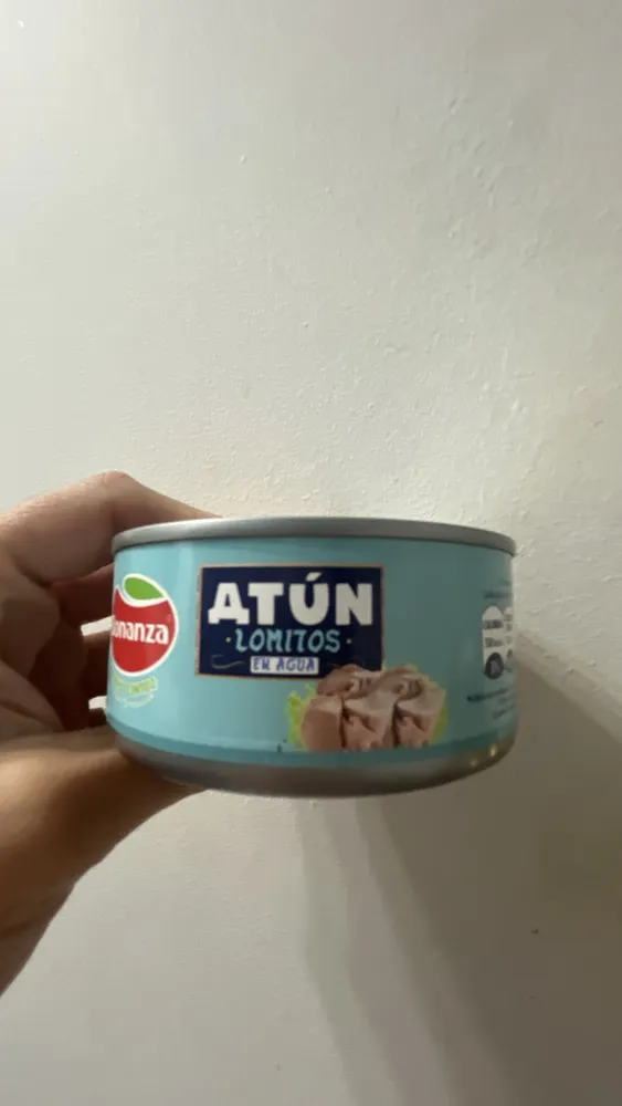 ATÚN - LOMITOS EN AGUA