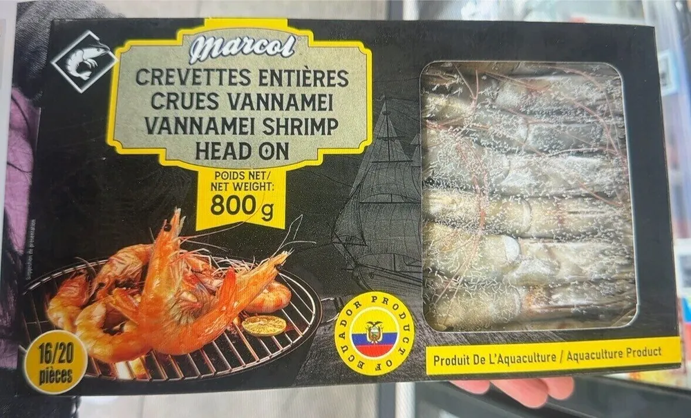 Crevettes entières crues