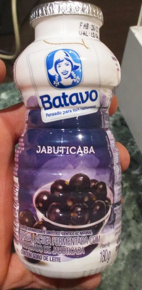 Bebida Láctea Fermentada com Preparado de Jabuticada