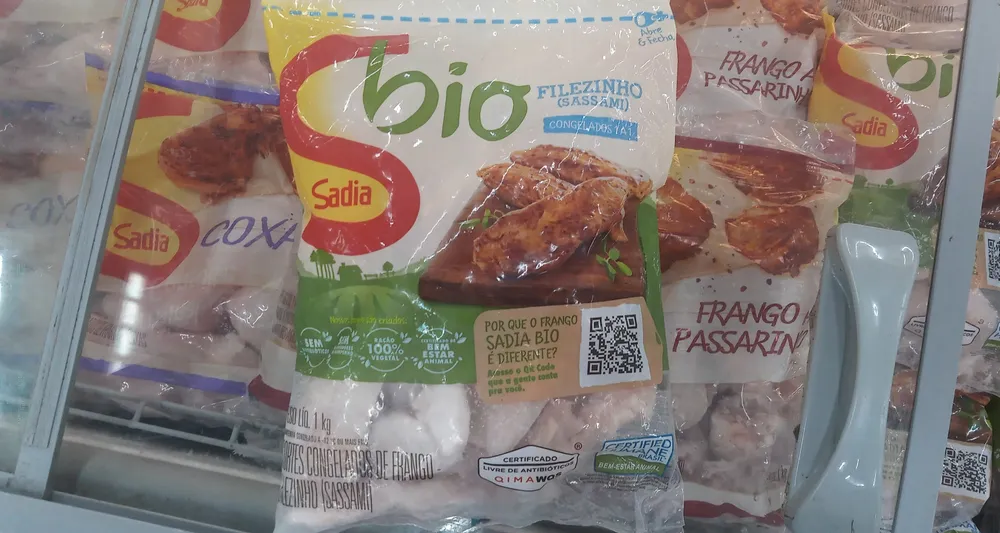 Filezinho (Sassami) Bio