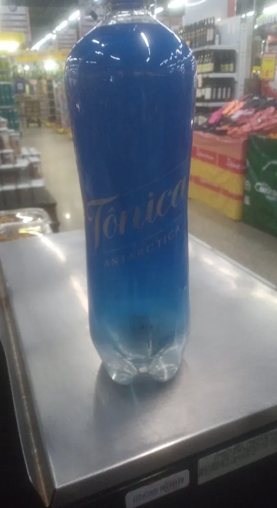 água Tônica Antarctica Garrafa 1l