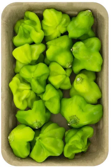 Direto Serra/org Pimenta Cambuci