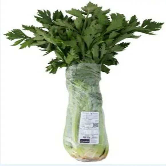 Salsao Horta E Vida 200gr Bdj
