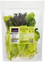 Salada Italiana Vida Natural 150gr Higiênico Atm