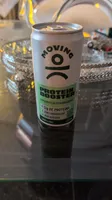 Moving Protein Booster 270ml Sabor Limão