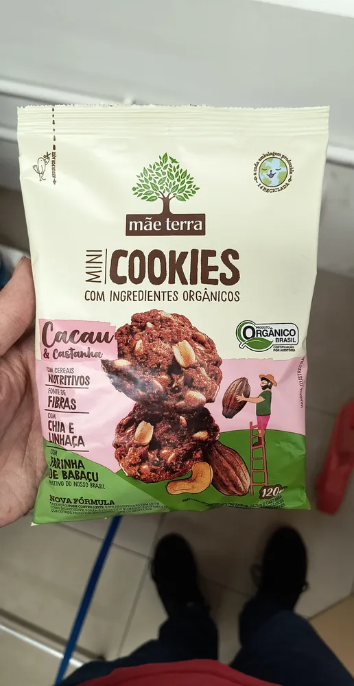 COOKIES ORGÂNICO CAST/CACAU 120G MÃETERRA
