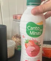 Iogurte Triplo zero