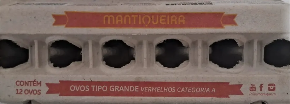 Ovos tipo grande vermelhos categoria A