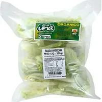 Verdura Salada Alface Amer.org. Rio De Una 200g