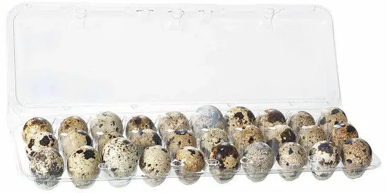 Ovos De Codorna Cartela
