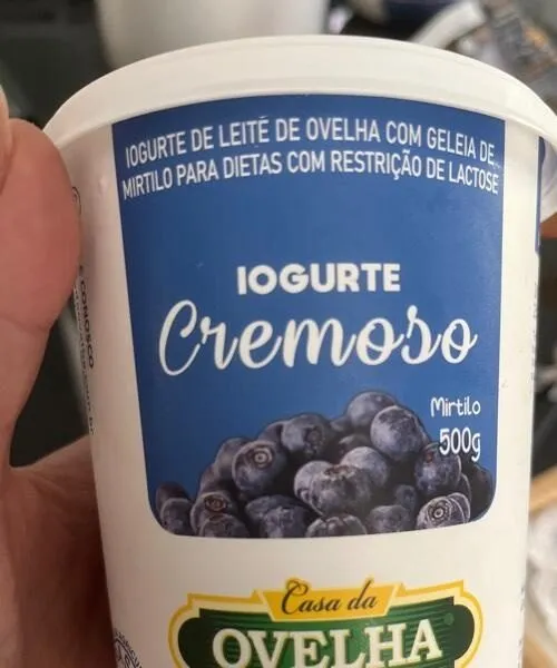 Iogurte cremoso mirtilo