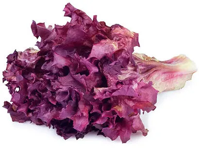 Alface Roxa Hidroponica Unidade