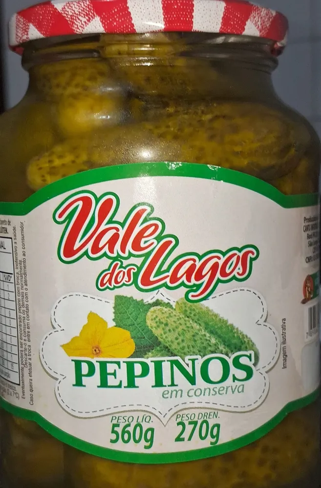 Pepinos em conserva