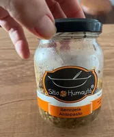 Berinjela antepasto