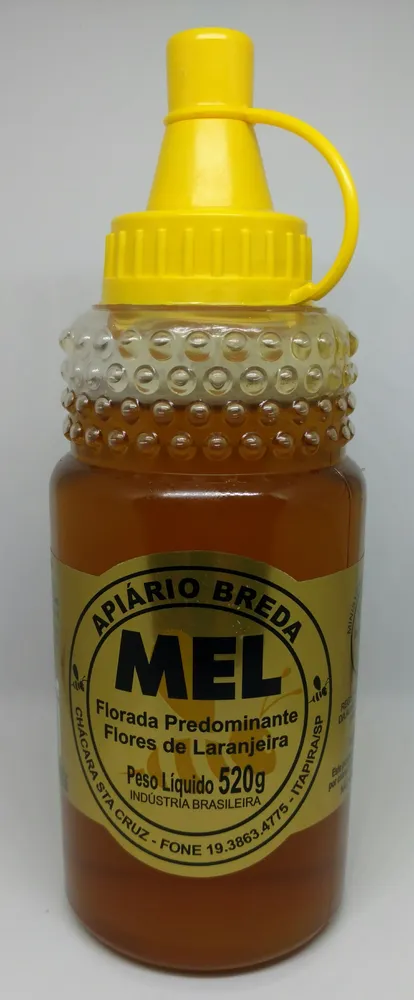 Mel Apiário Breda