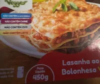 Lasanha ao Molho Vegana