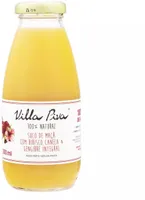 Suco Integral Maçã Com Hibisco, Canela Gengibre Villa Piva Garrafa 300ml