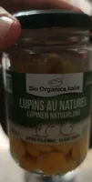 Lupin