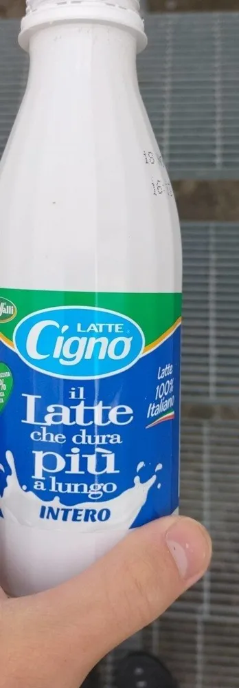 Latte cigno intero