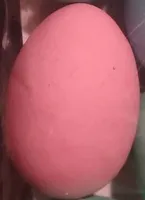Prodotto dolciario uova cialde confettate