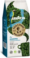 Café grains 100% arabica Bio