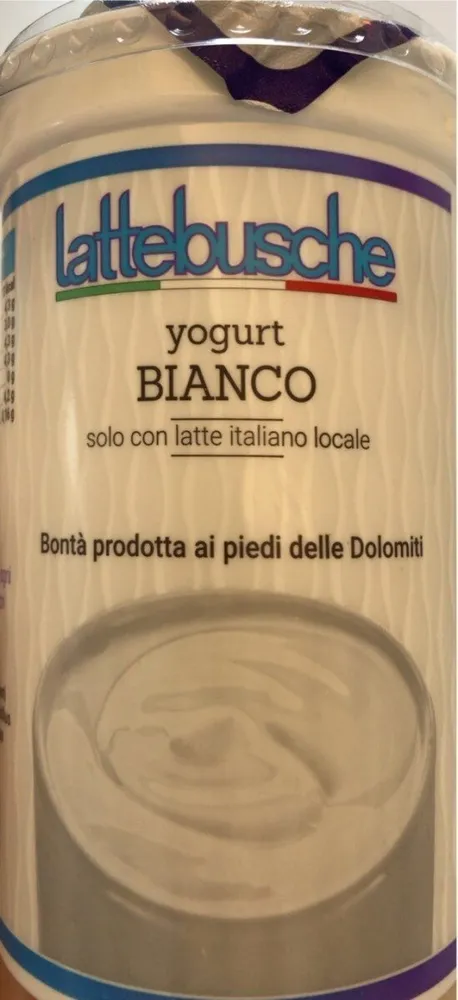 Yogurt bianco intero