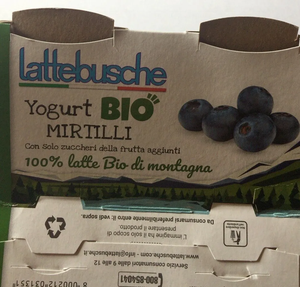 Yogurt BIO MIRTILLI