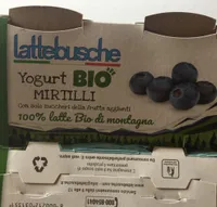 Yogurt BIO MIRTILLI