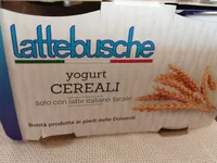 Yogurt