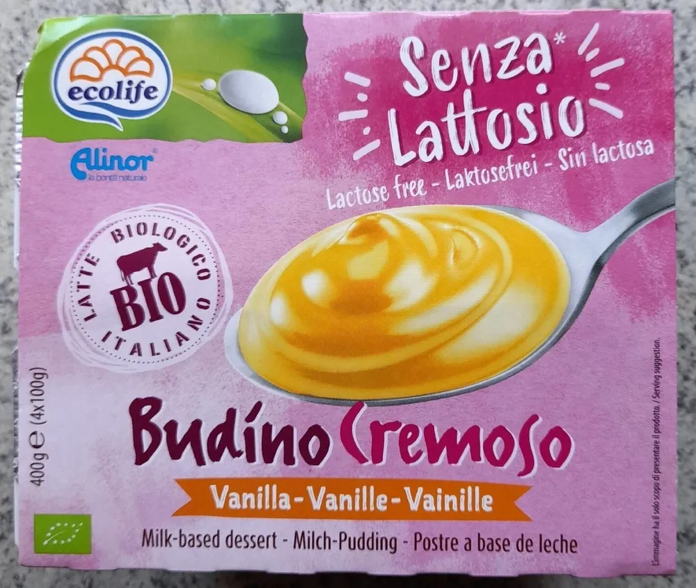 Budino vaniglia