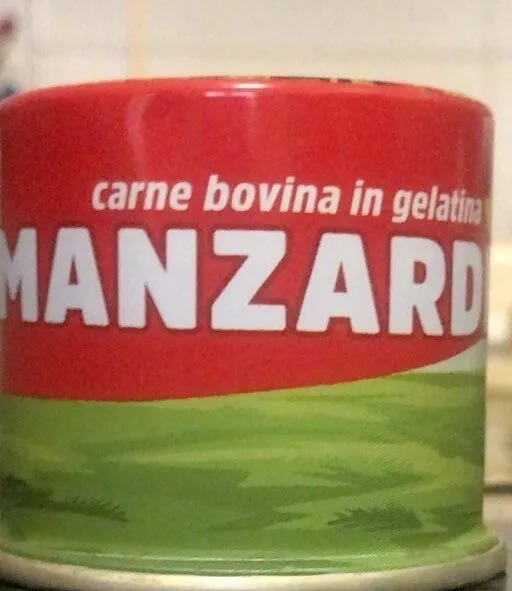 Carne bovina in gelatina