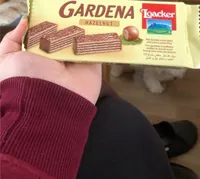 Wafer
