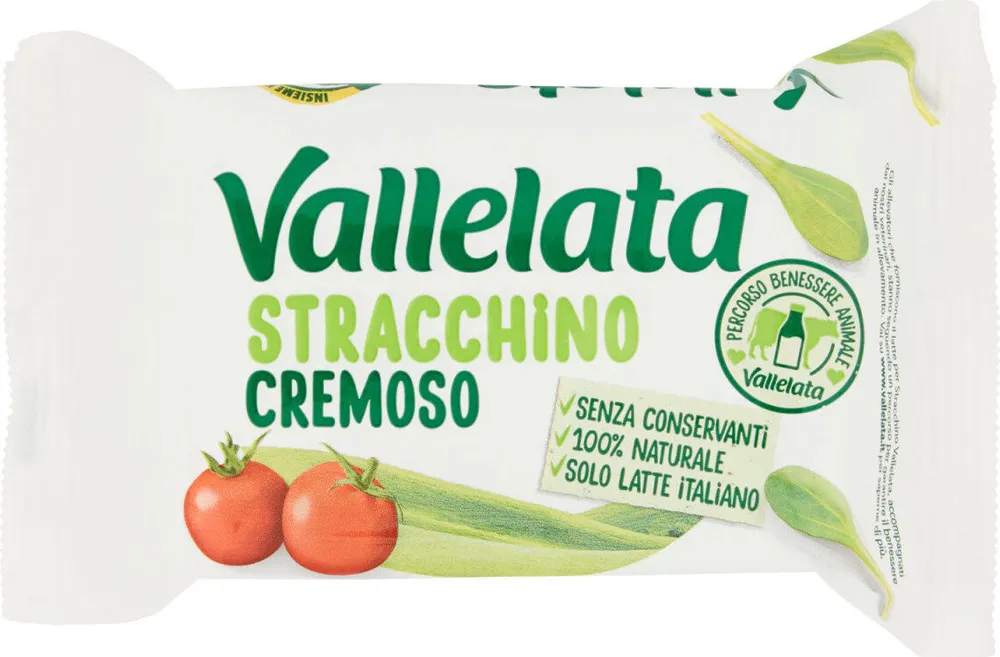 Stracchino cremoso