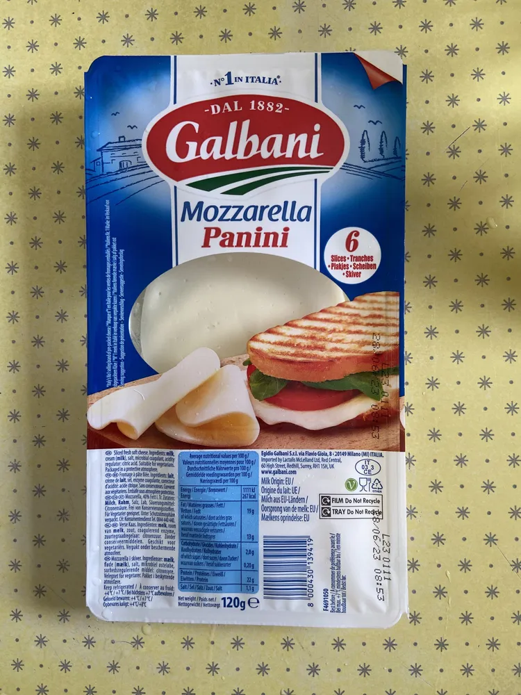 Mozzarella Panini