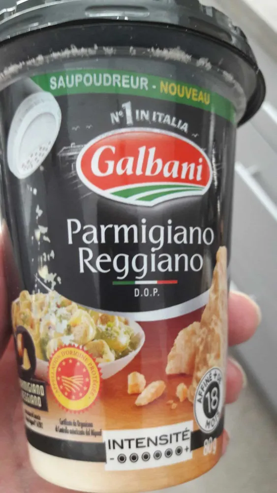 Parmigiano reggiano lait cru 28% de MG, saupoudreur GALBANI