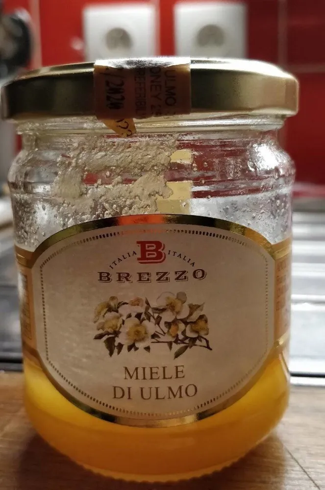 Miele di ulmo