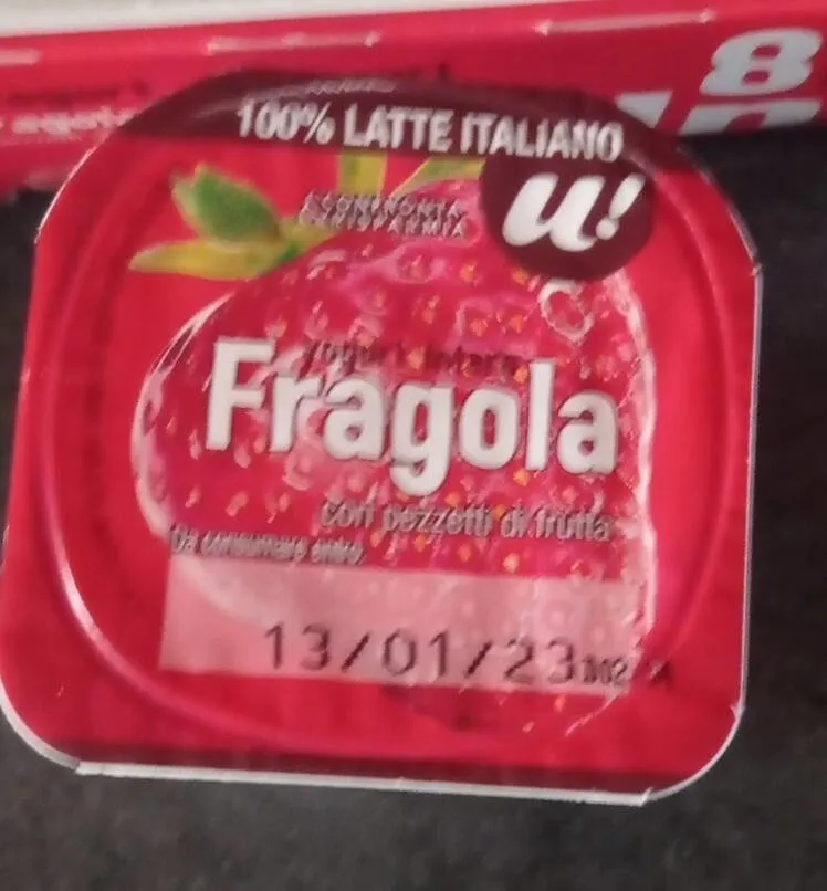 Yogurt intero U2