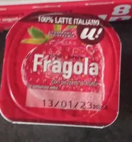 Yogurt intero U2