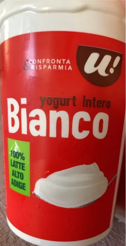 Yogurt intero bianco