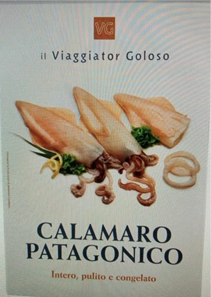 Calamaro Patagonico
