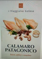 Calamaro Patagonico