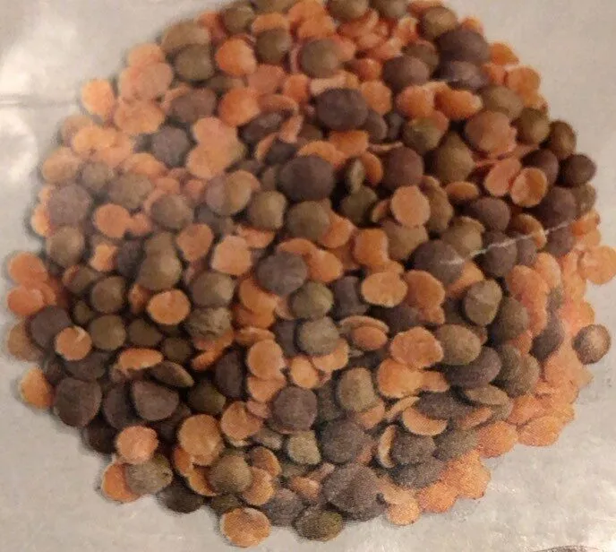 Zuppa di lenticchie