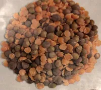 Zuppa di lenticchie