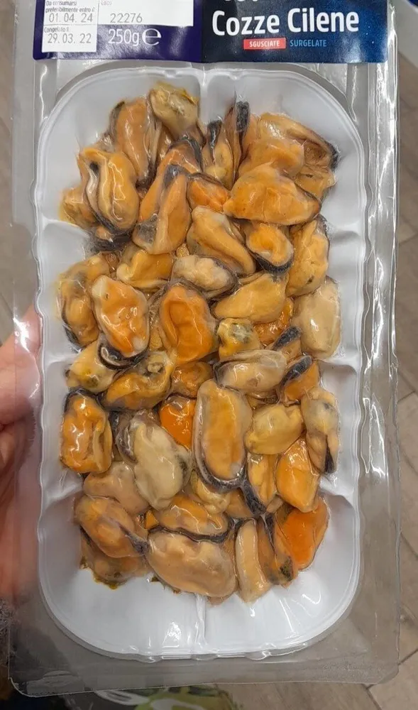 Cozze cilene