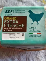 Uova grandi extra fresche