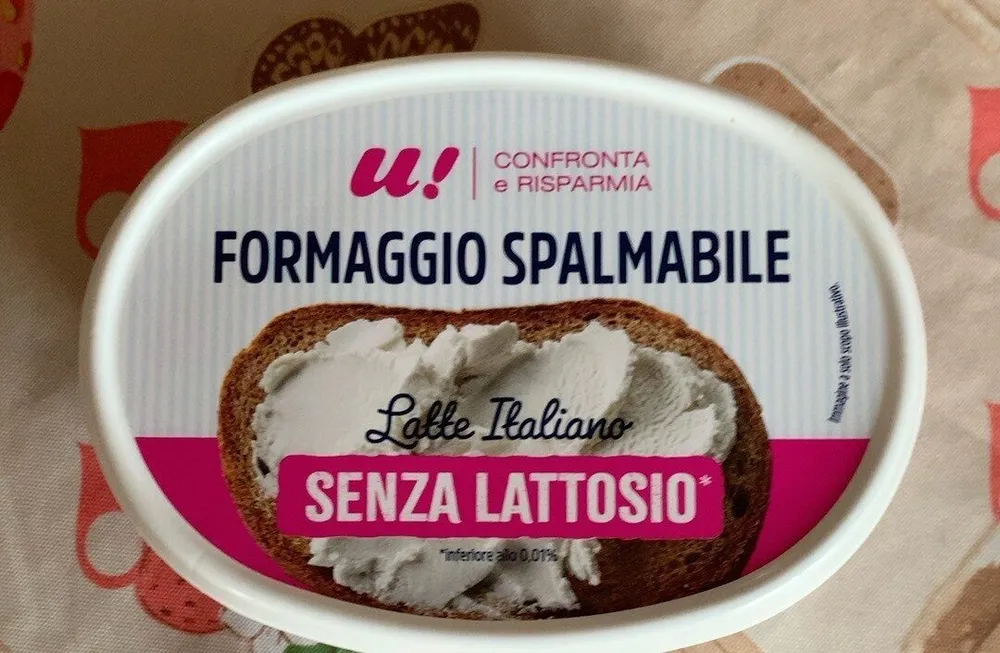 Formaggio spalmabile senza lattosio
